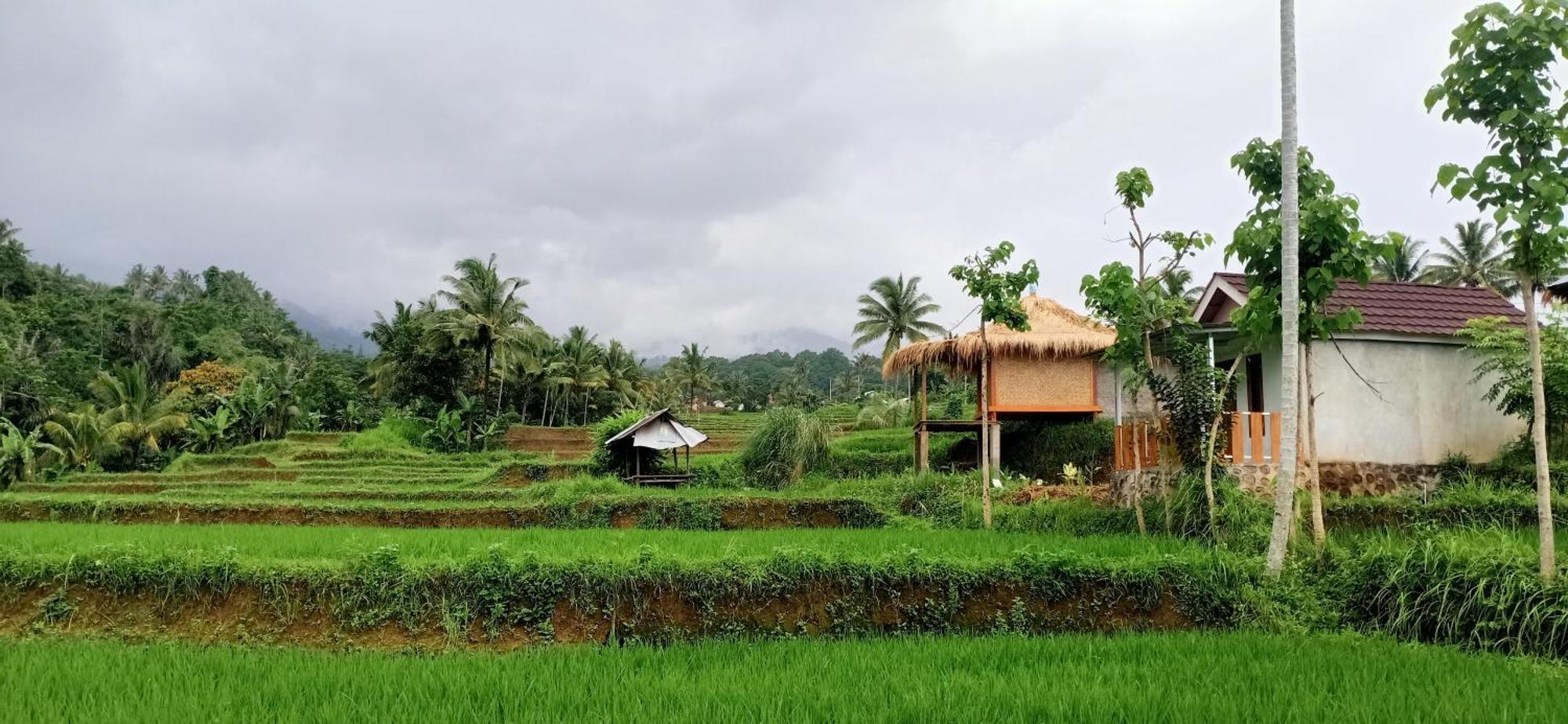 Bayan Exotic Homestay Senaru Exterior foto