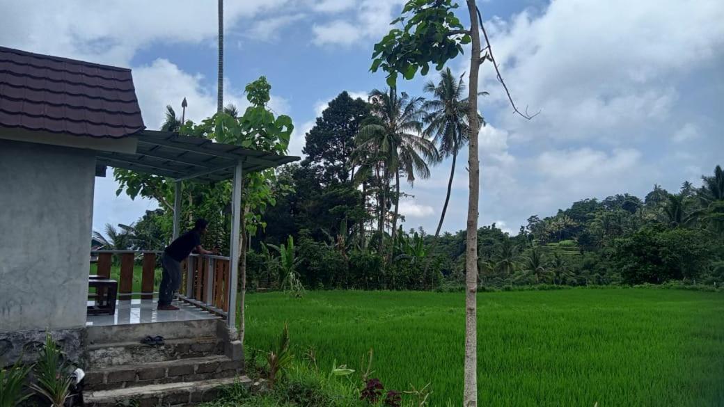 Bayan Exotic Homestay Senaru Exterior foto