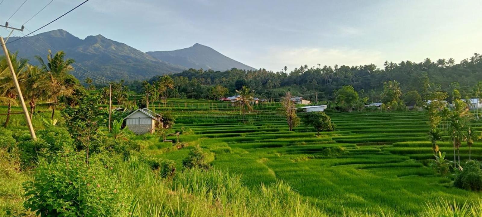 Bayan Exotic Homestay Senaru Exterior foto